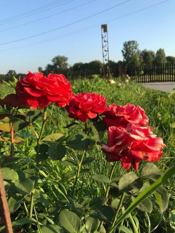 Дома для отпуска Дім біля Рівне Horodyshche